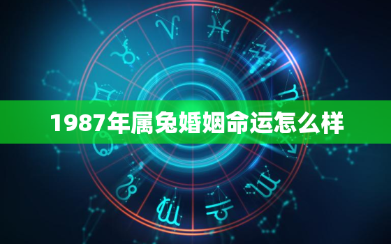 1987年属兔婚姻命运怎么样，1987年属兔的婚姻算命