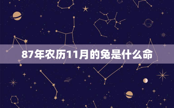 87年农历11月的兔是什么命，1987年农历十一月是什么命