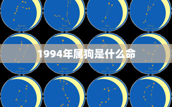 1994年属狗是什么命，1994年属狗是什么命金木水火土