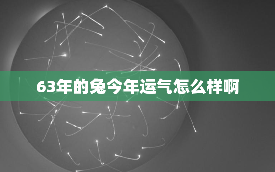 63年的兔今年运气怎么样啊，63年属兔的今年运气怎么样