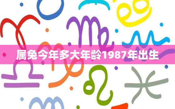 属兔今年多大年龄1987年出生，属兔今年多大年纪2020