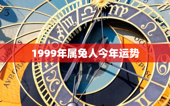 1999年属兔人今年运势，1999年属兔的今年运势怎么样