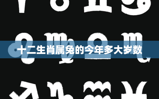 十二生肖属兔的今年多大岁数，属兔生肖今年多少岁