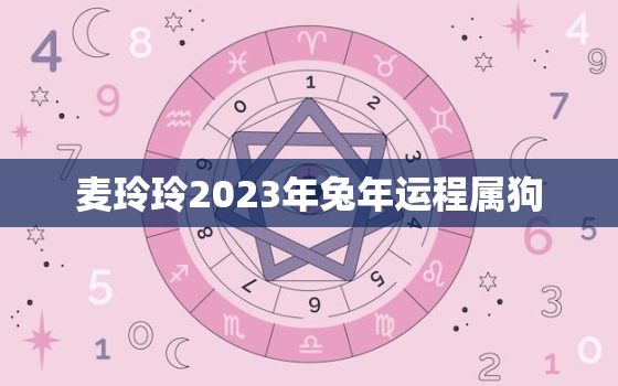 麦玲玲2023年兔年运程属狗，麦玲玲2022年属狗运势