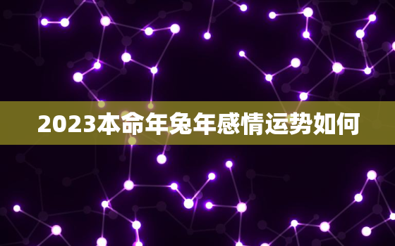 2023本命年兔年感情运势如何，2023本命年兔年感情运势如何