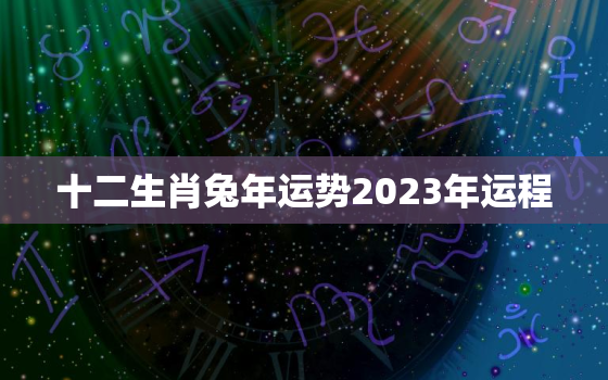 十二生肖兔年运势2023年运程，十二生肖兔年运势2023年运程详解