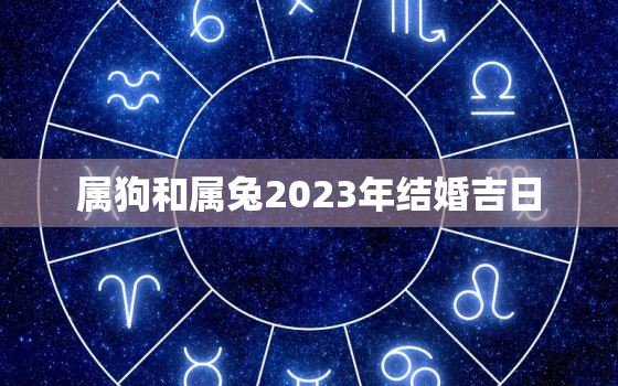 属狗和属兔2023年结婚吉日，狗遇兔年2023年怎么样