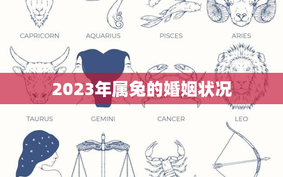 2023年属兔的婚姻状况，2023年属兔人