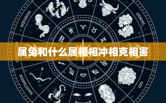 属兔和什么属相相冲相克相害，属兔和什么属相最冲