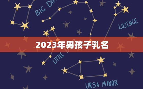 2023年男孩子乳名，男孩乳名2020年