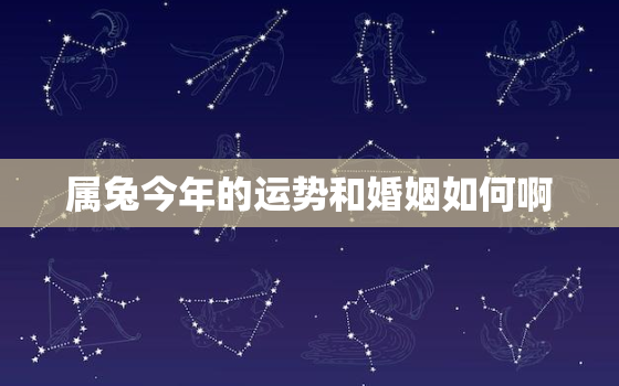 属兔今年的运势和婚姻如何啊，属兔今年运势2022年运势如好不好