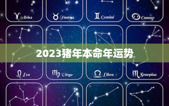 2023猪年本命年运势，2023年属猪人的全年运势