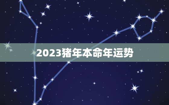 2023猪年本命年运势，2023年猪人运程与运势