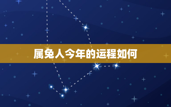 属兔人今年的运程如何，属兔人今年运势2021年运势