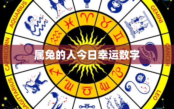 属兔的人今日幸运数字，属兔的人今天的幸运号是几