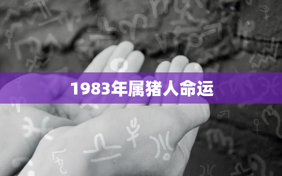 1983年属猪人命运，1983年属猪人命运比例和好之相是什么意思