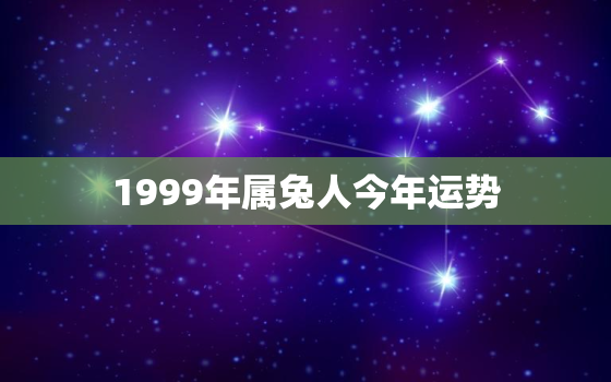 1999年属兔人今年运势，1999年属相兔2021年运势