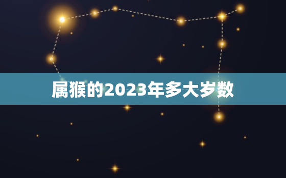 属猴的2023年多大岁数，属猴的在2023年的运势怎么样 全年