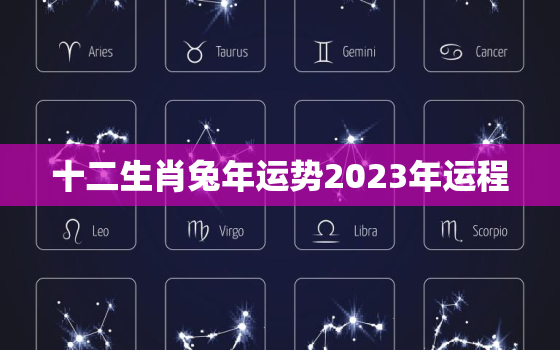 十二生肖兔年运势2023年运程，2023运势兔生肖运势详解