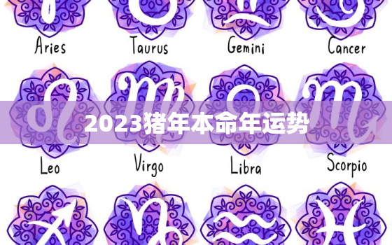 2023猪年本命年运势，猪年本命年运势2020运势详解