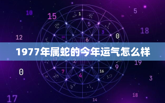 1977年属蛇的今年运气怎么样，1977年属蛇今年的运势