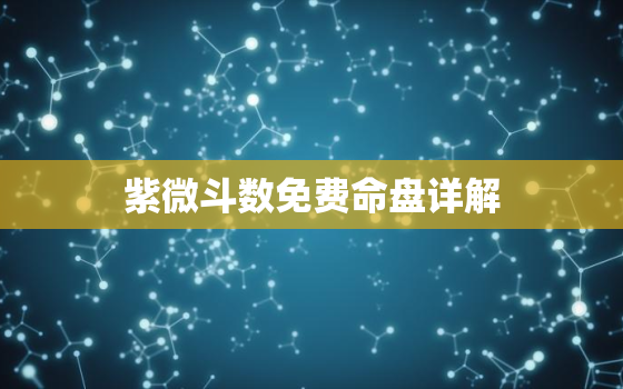 紫微斗数免费命盘详解，紫微斗数免费命盘详解准确