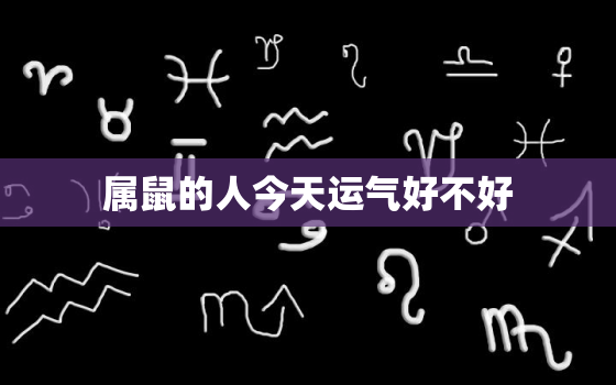 属鼠的人今天运气好不好，属鼠的人今天的运势和财运