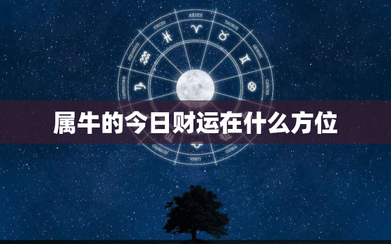 属牛的今日财运在什么方位，属牛今日财运位置