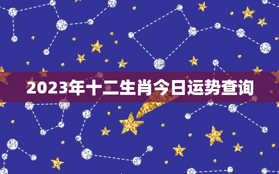 2023年十二生肖今日运势查询，2023年十二生肖运势详解(最新完整版)2020