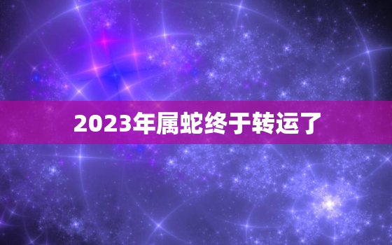 2023年属蛇终于转运了，2024年属蛇终于转运了