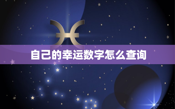 自己的幸运数字怎么查询，怎么样查询自己的幸运数字