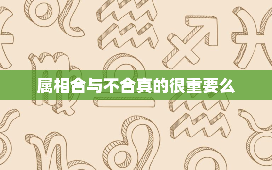 属相合与不合真的很重要么，属相合不合是迷信吗