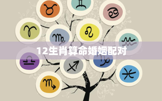 12生肖算命婚姻配对，婚姻合八字算命 免费