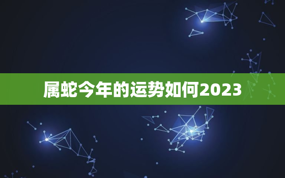 属蛇今年的运势如何2023，属蛇的今年运程如何