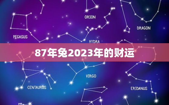 87年兔2023年的财运，87年属兔2023年运势及运程每月运程