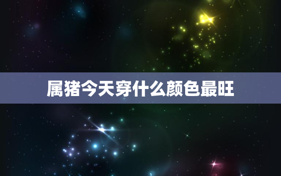 属猪今天穿什么颜色最旺，属猪人今天穿什么颜色