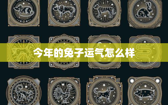 今年的兔子运气怎么样，今年兔子运气好不2020 破太岁