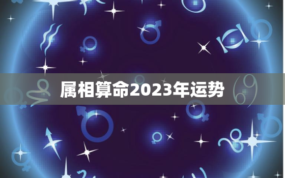 属相算命2023年运势，2023年各生肖运势