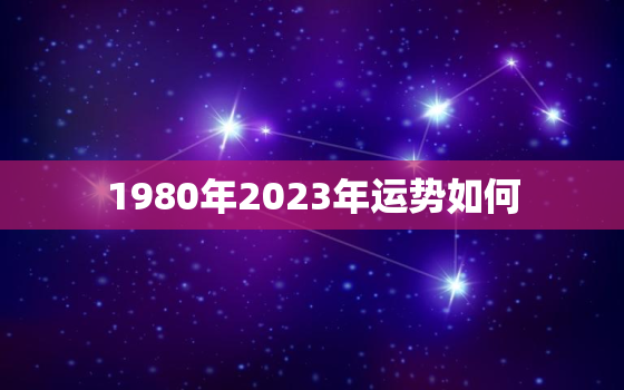 1980年2023年运势如何，1980年猴在2023年运势