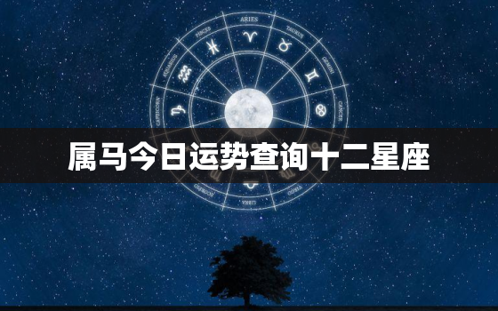 属马今日运势查询十二星座，2002年属马2023年运势及运程详解