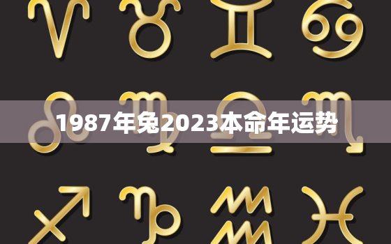 1987年兔2023本命年运势，1987年兔2023本命年运势男