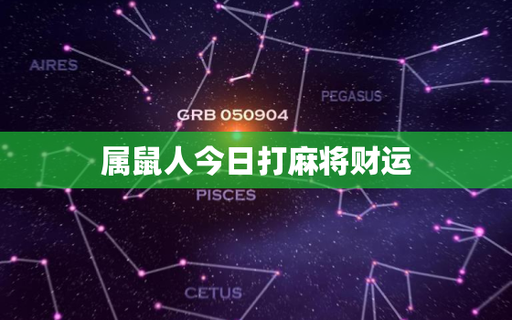 属鼠人今日打麻将财运，属鼠人今日打麻将财运2022.11.17晚上打麻将手气如何