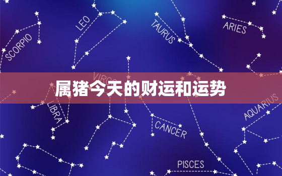 属猪今天的财运和运势，属猪今天的财运和运势2022年10月29日