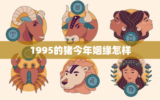 1995的猪今年姻缘怎样，1995的猪男今年姻缘怎样