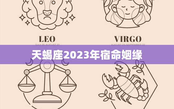 天蝎座2023年宿命姻缘，天蝎座2023年真爱出现