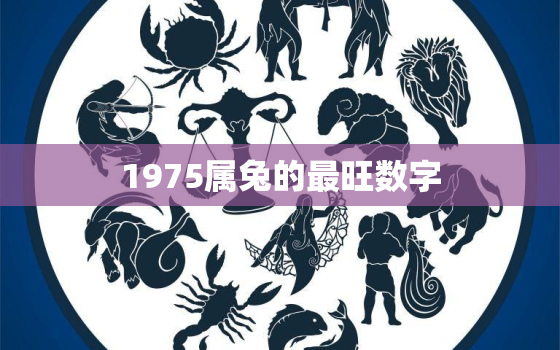 1975属兔的最旺数字，1975属兔人幸运数字