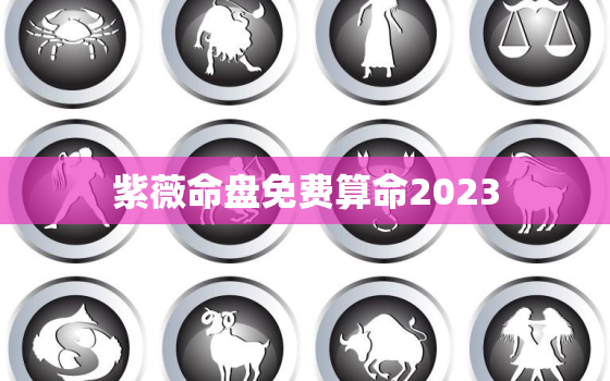 紫薇命盘免费算命2023，紫薇命盘免费算命2023九思科技