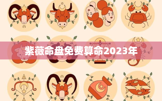 紫薇命盘免费算命2023年，2020年紫微免费算命