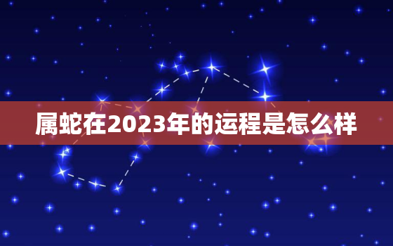 属蛇在2023年的运程是怎么样，属蛇在2023年的运程是怎么样的呢