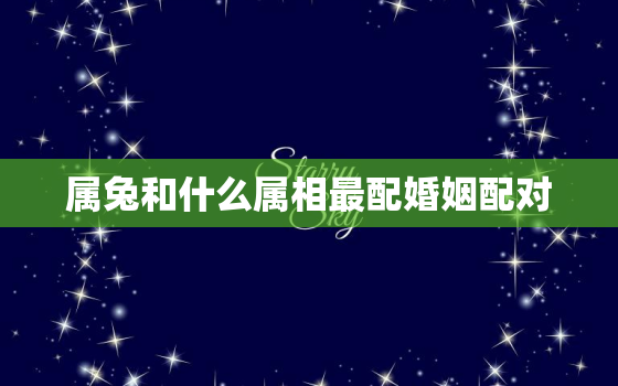 属兔和什么属相最配婚姻配对，属兔的跟什么属相配婚最好